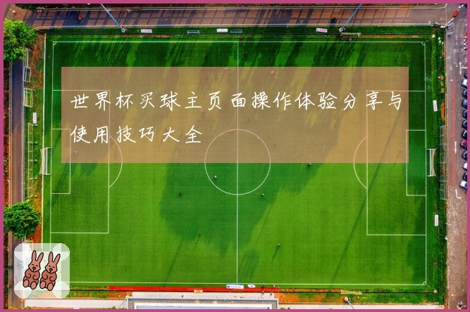世界杯买球主页面操作体验分享与使用技巧大全