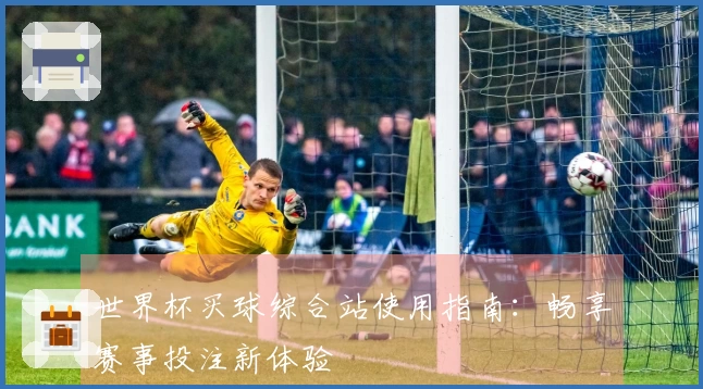 世界杯买球综合站使用指南：畅享赛事投注新体验