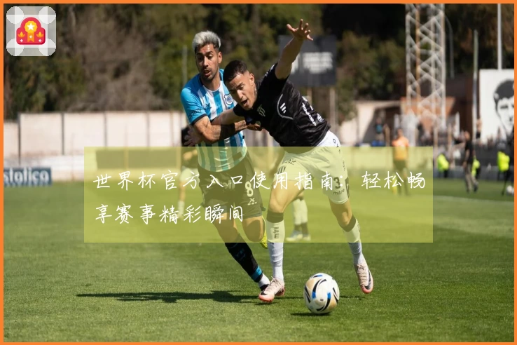 世界杯官方入口使用指南：轻松畅享赛事精彩瞬间