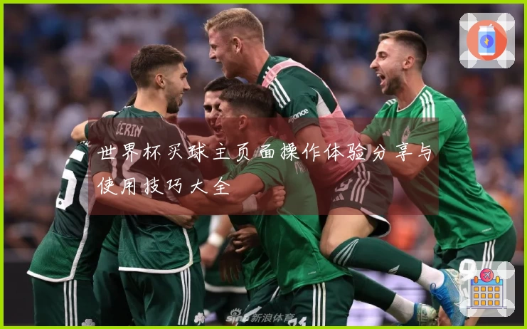 世界杯买球主页面操作体验分享与使用技巧大全